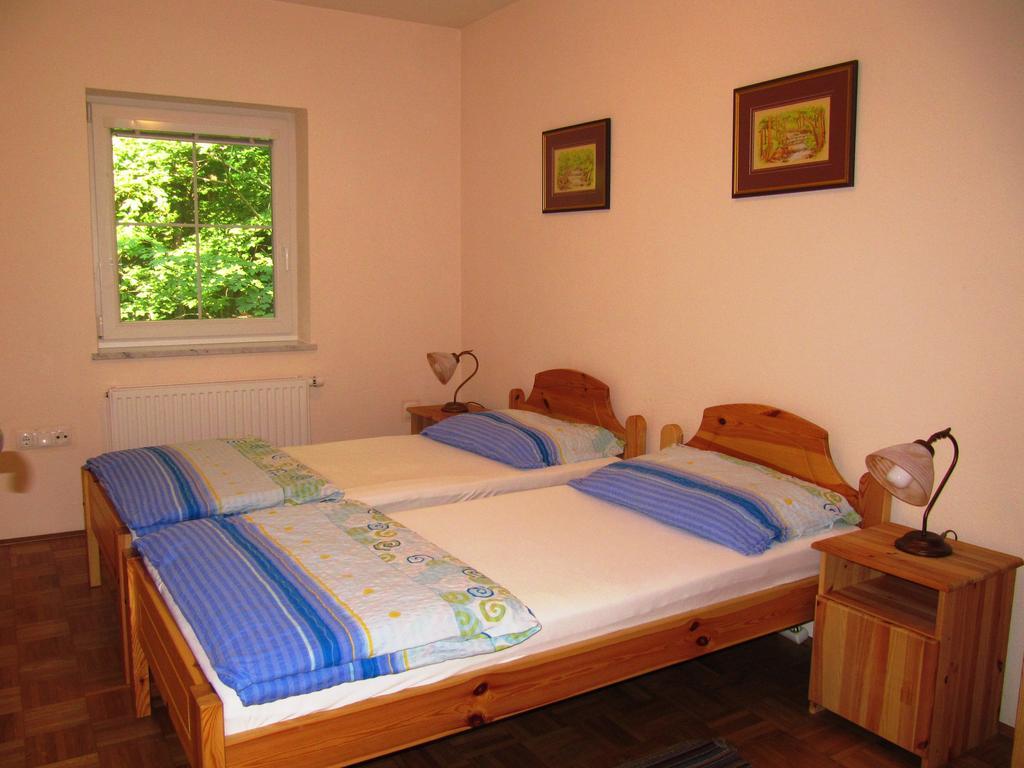 Apartment Vintgar Slovenska Bistrica Exterior photo